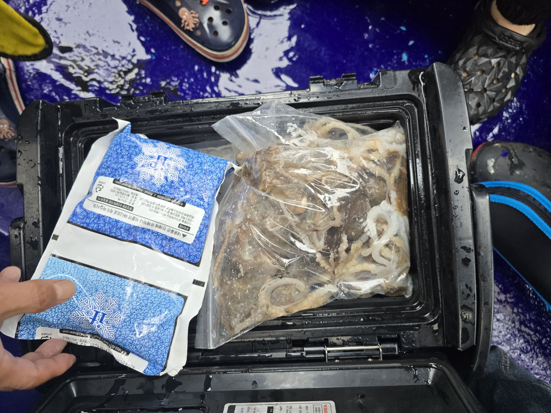 오천순풍호9월28일조황